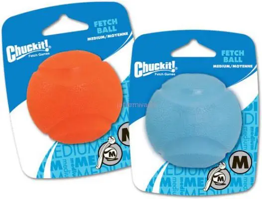 Chuckit! Fetch