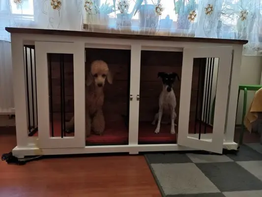 Fa szoba kennel