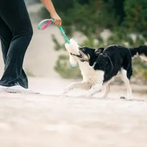 Húzogatós játékok