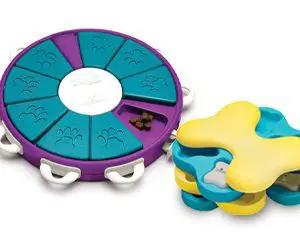 Logikai és szimat játékok