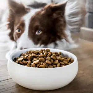 Száraztápok és párolt húsok