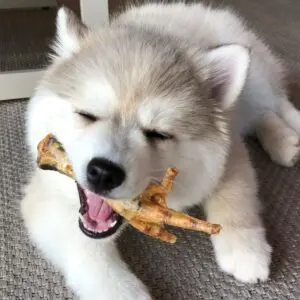 Szárított natúr csirkelábak