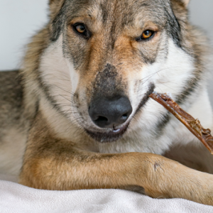 Kivo Darabolt Teve fejbőr