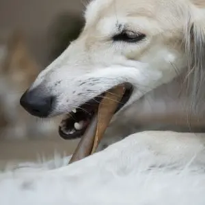 Kivo Darabolt Teve fejbőr