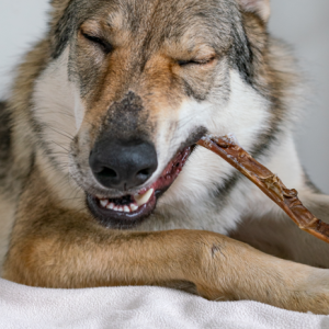 Kivo Darabolt Teve fejbőr