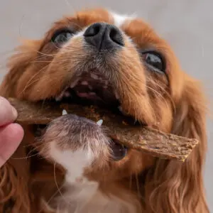 KIVO Szárított Bárányhús csíkok