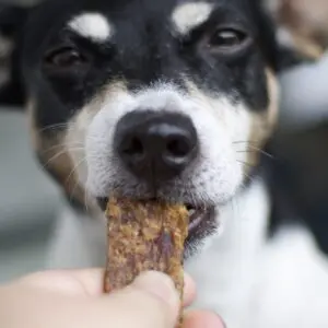 KIVO Szárított Bárányhús csíkok