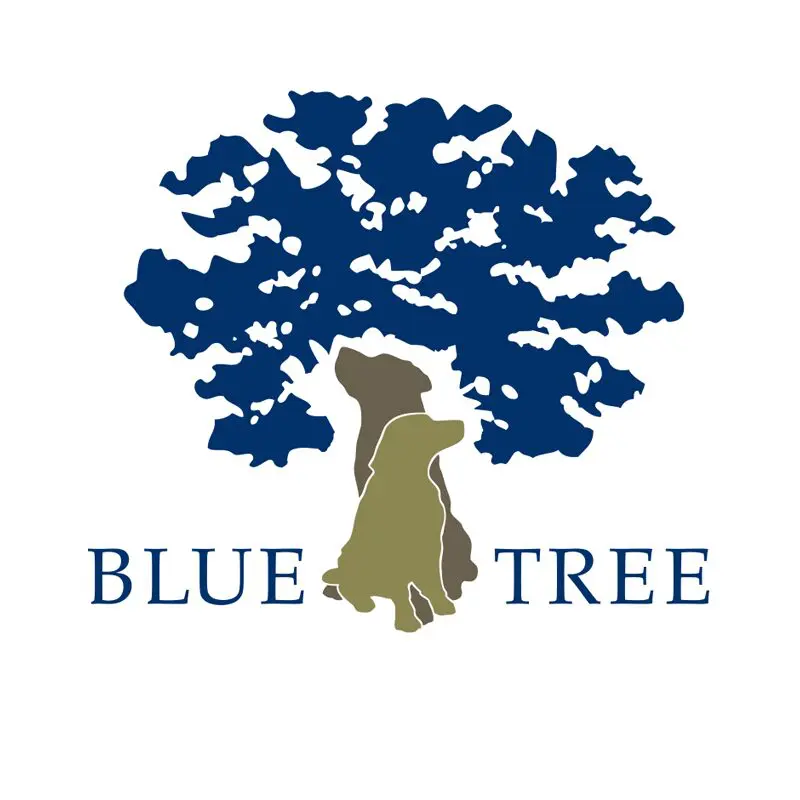 Blue Tree