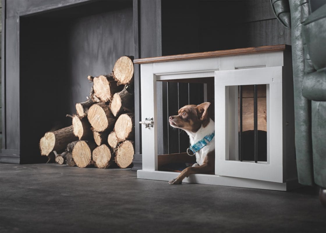 Fa szoba kennel