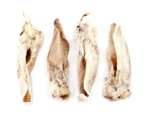 Farkaskonyha szőrös nyúlfül