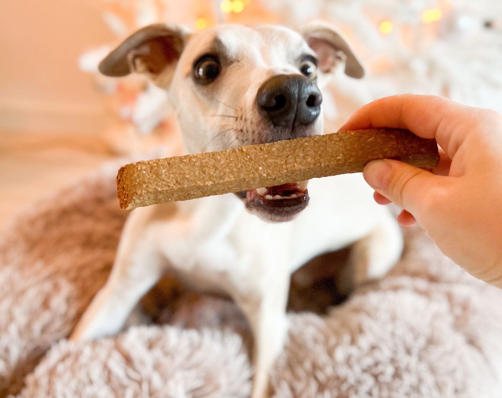 KIVO Take & Brake snack rudak többféle ízben
