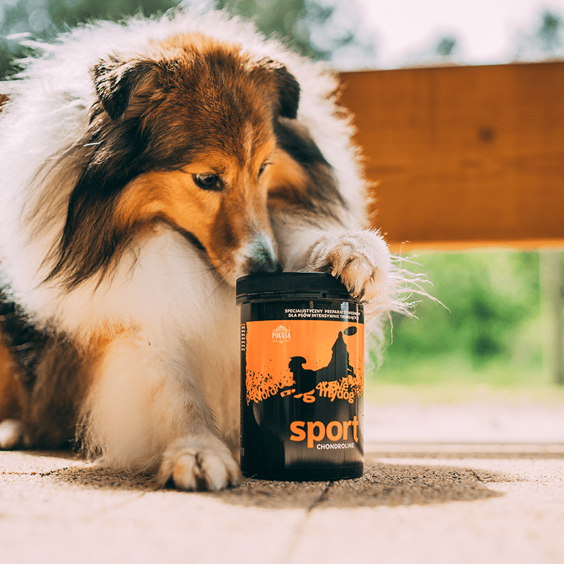 POKUSA ChondroLine Sport - Image 3